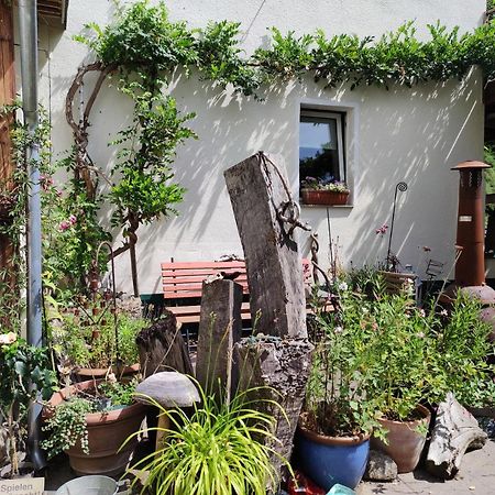קלן Gartenzimmer Mit Strassenbahn Zu Dom Und Messe מראה חיצוני תמונה