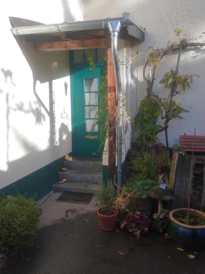 קלן Gartenzimmer Mit Strassenbahn Zu Dom Und Messe מראה חיצוני תמונה